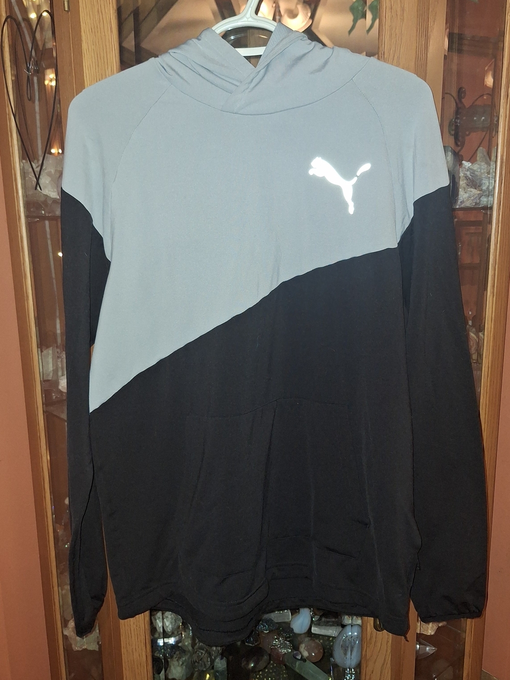 Puma Men’s Black & Gray DryCell  Hooded Pullover